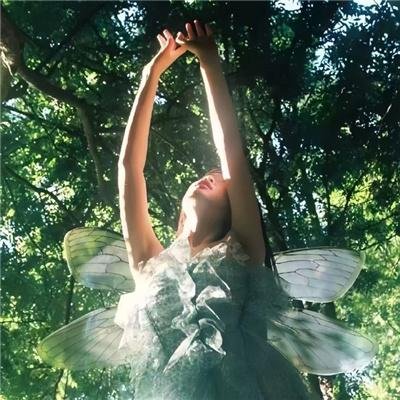 诺斯特拉达姆士的预言