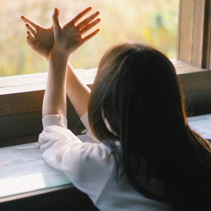 你们我们他们粤语